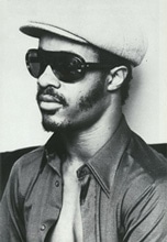فول آلبوم استیوی واندر (Stevie Wonder)