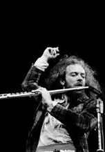 فول آلبوم جترو تال (Jethro Tull)
