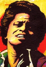 فول آلبوم جیمز براون (James Brown)