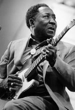 فول آلبوم مادی واترز (Muddy Waters)