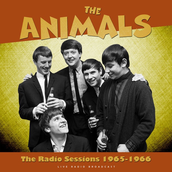 The Radio Sessions 1965 - 1966