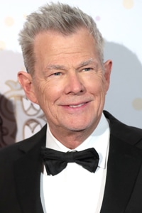 فول آلبوم دیوید فاستر (David Foster)