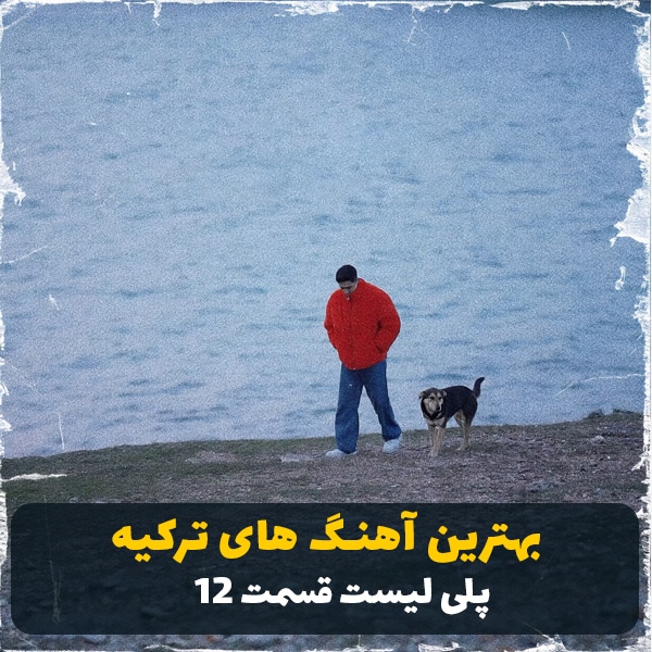 The Best Turkish Songs Vol 12